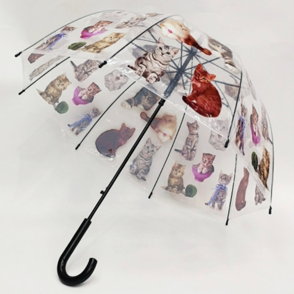 Cats Umbrella