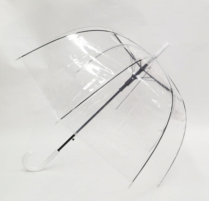 Clear Umbrella