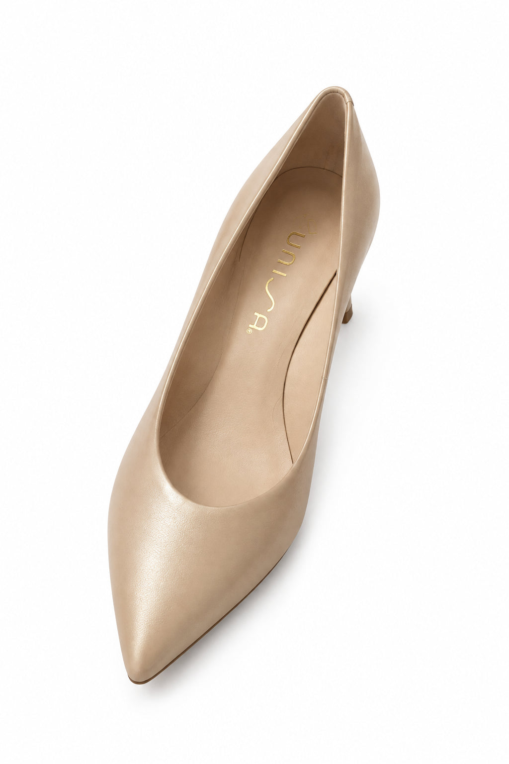 Unisa Court Shoe (Lanvi_into)