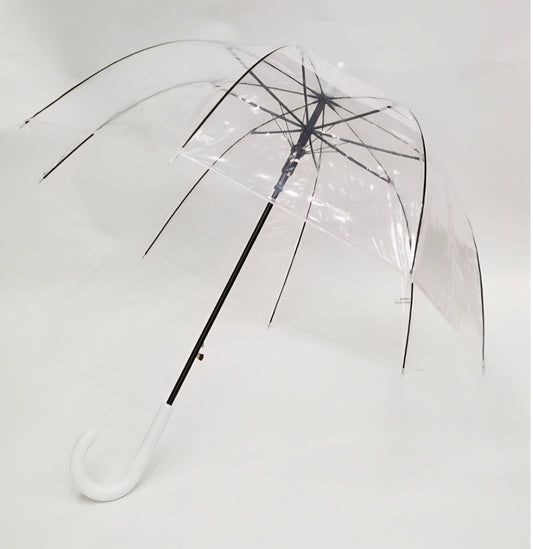 Clear Umbrella